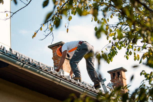 Best New Roof Installation  in Willacoochee, GA