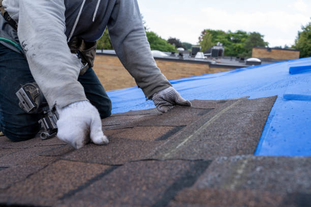 Best Best Roofing Contractors  in Willacoochee, GA