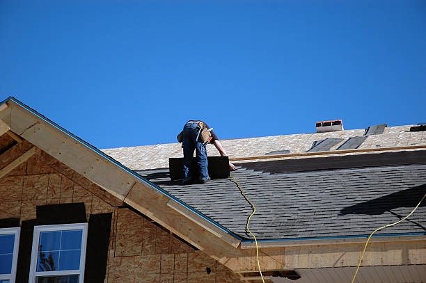Best Roof Gutter Cleaning  in Willacoochee, GA