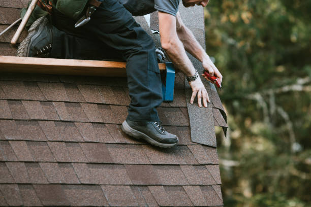 Best Roof Gutter Cleaning  in Willacoochee, GA